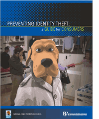 Consumer ID Theft Guide